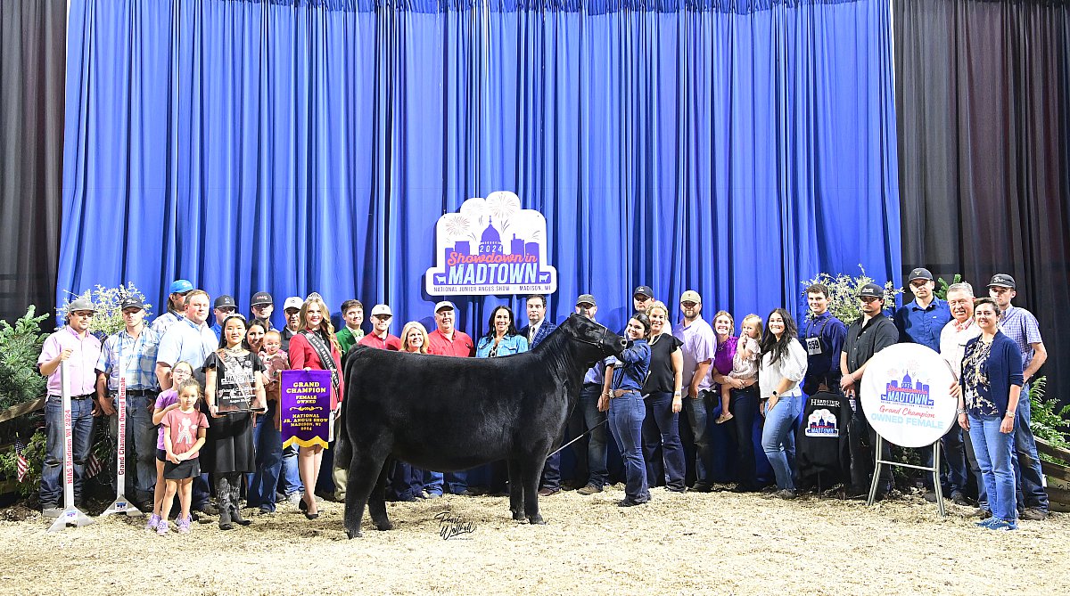 2024 National Junior Angus Show Shows and Fairs