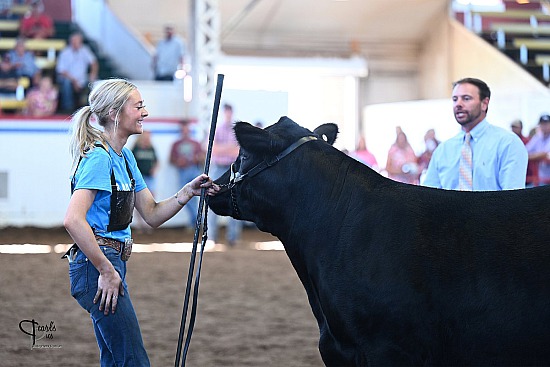 2024 Missouri Cattlemen's All Breed Show