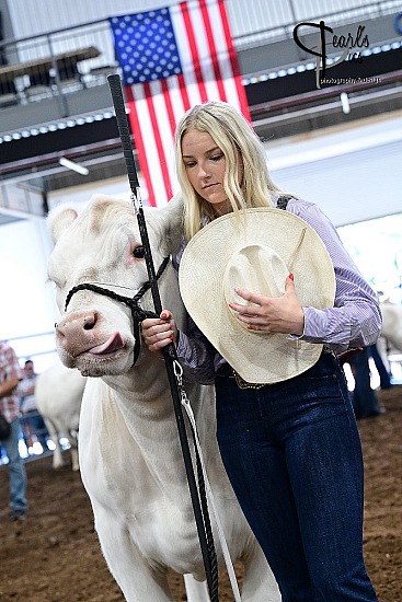 2025 Charolais Junior Nationals